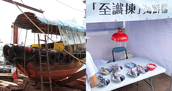 【西貢海濱】香港海洋嘉年華 免費舢舨導賞團｜親子好去處｜香港玩樂｜開團